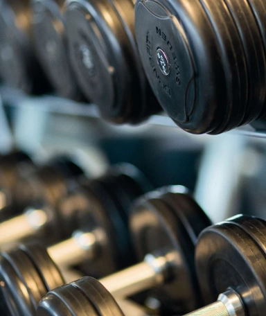 a rack of weights